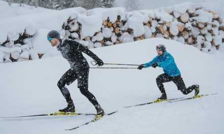 Bâton de Ski de Fond : comprendre ses spécificités !