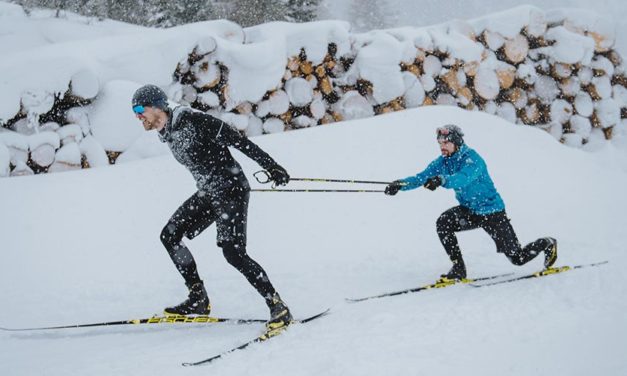 Bâton de Ski de Fond : comprendre ses spécificités !