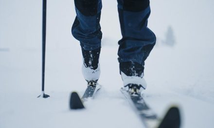 La Chaussure de Ski de Fond : toutes les Infos