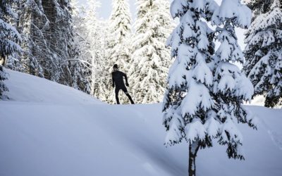 Salomon : le nouveau Ski S/Lab Carbon Skate