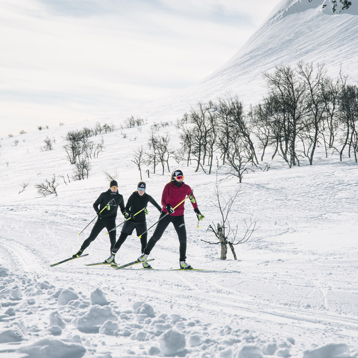 skiletics_chaussures-ski-de-fond-skating