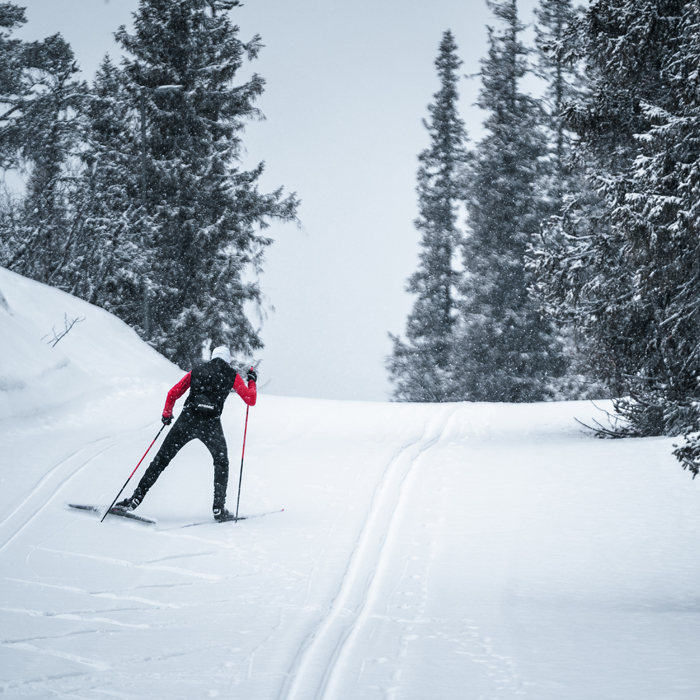 ski-de-fond-station_ou_pratiquer_ski_de_fond