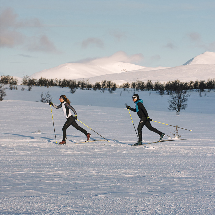 Comment choisir des skis de fond classiques - grandeur et spécificités