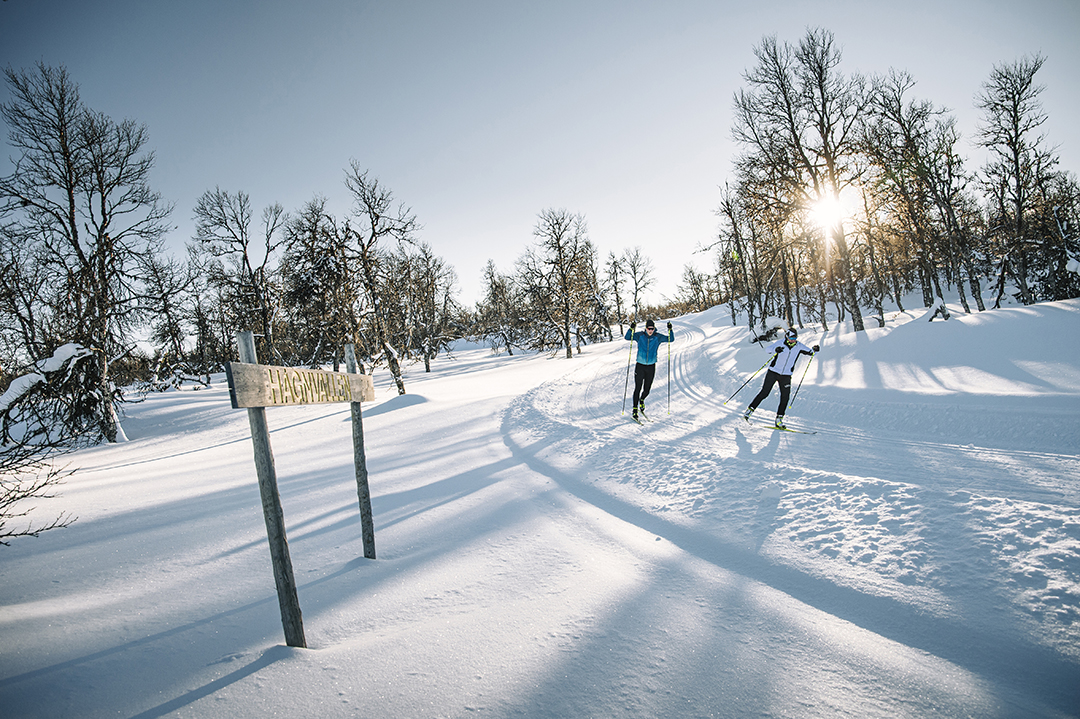 ski de fond