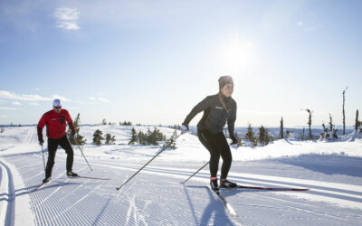 Madshus, la marque norvégienne aux skis rapides