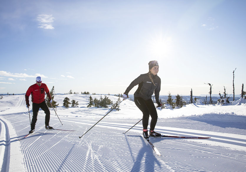 Madshus, la marque norvégienne aux skis rapides